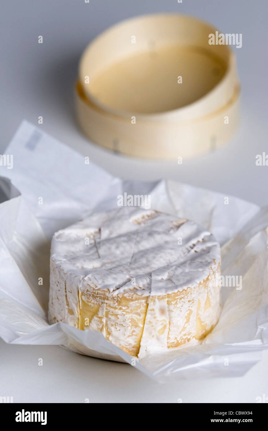 Camembert cheese Stock Photo
