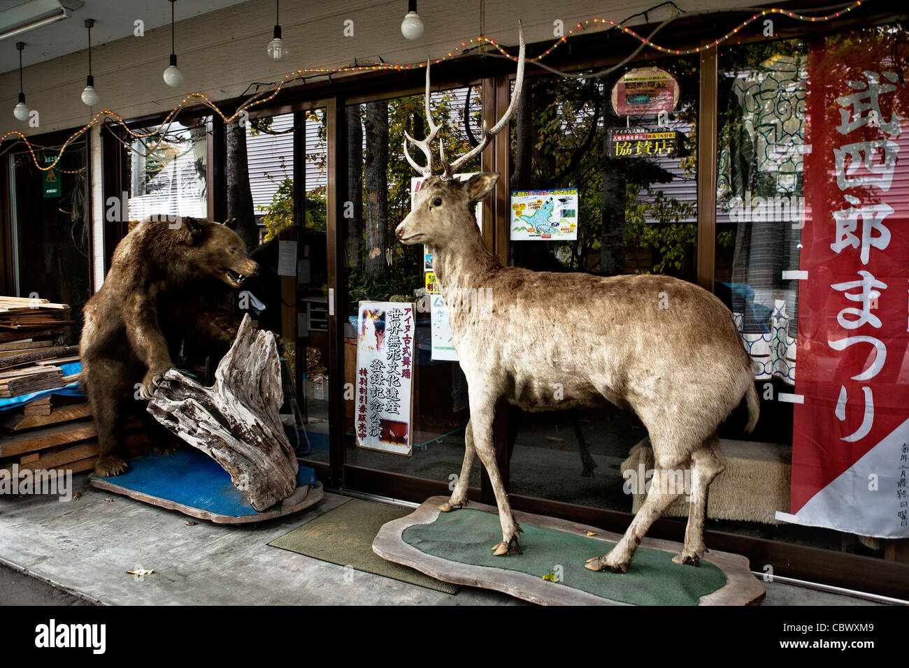 Stuffed deer and bear from Akan region, north Hokkaido, Japan. Stock Photo