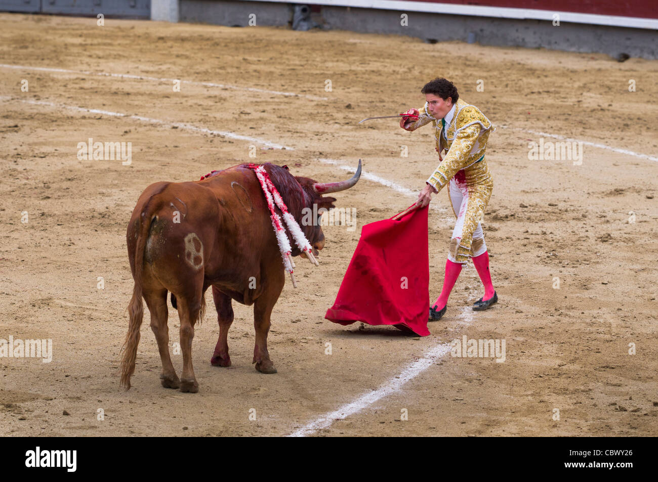 BULLFIGHT CORRIDA MADRID SPAIN Stock Photo