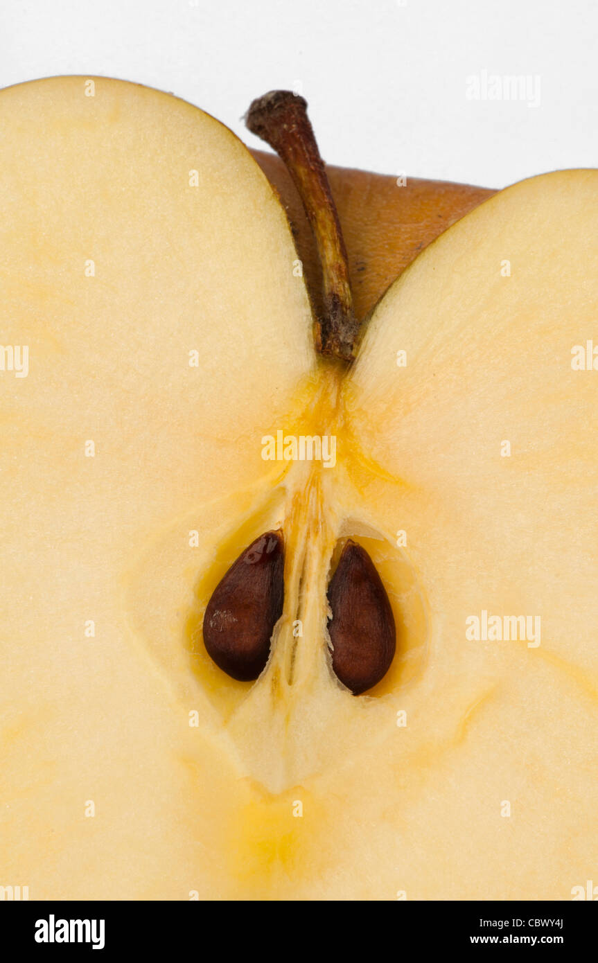 Cut apple closeup background. Inside of the apple Stock Photo - Alamy