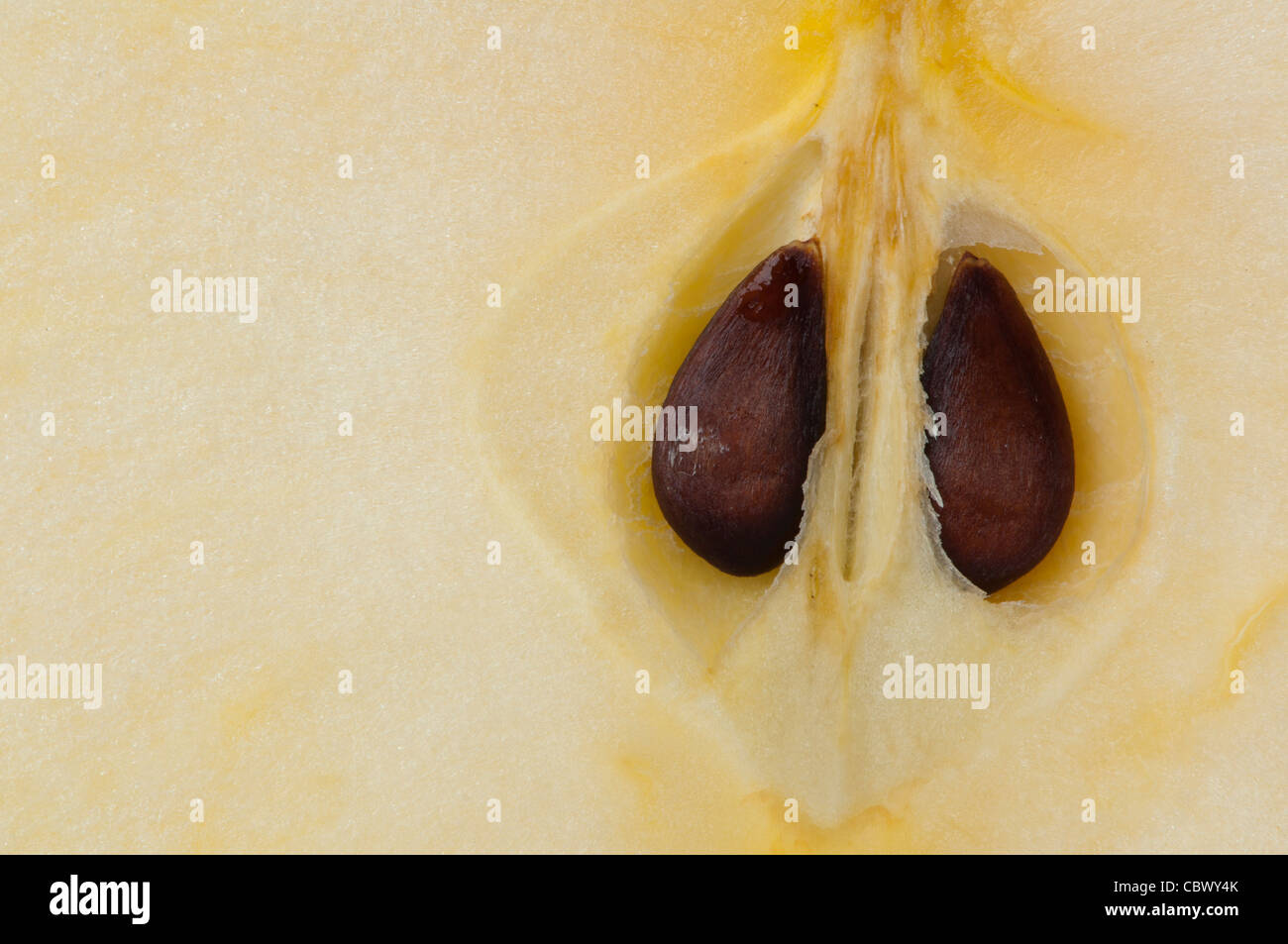 Cut apple closeup background. Inside of the apple Stock Photo - Alamy