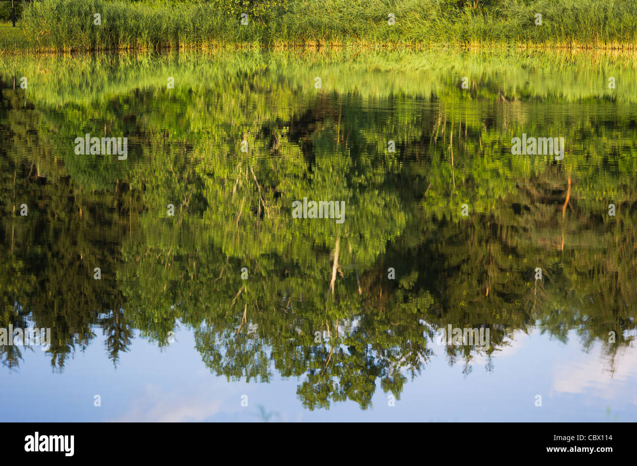 LANDSCAPE HORSE FARM GHENT NEW YORK USA Stock Photo Alamy
