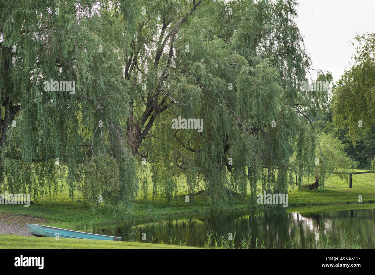 LANDSCAPE HORSE FARM GHENT NEW YORK USA Stock Photo Alamy