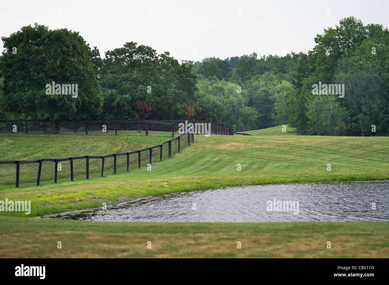 LANDSCAPE HORSE FARM GHENT NEW YORK USA Stock Photo Alamy