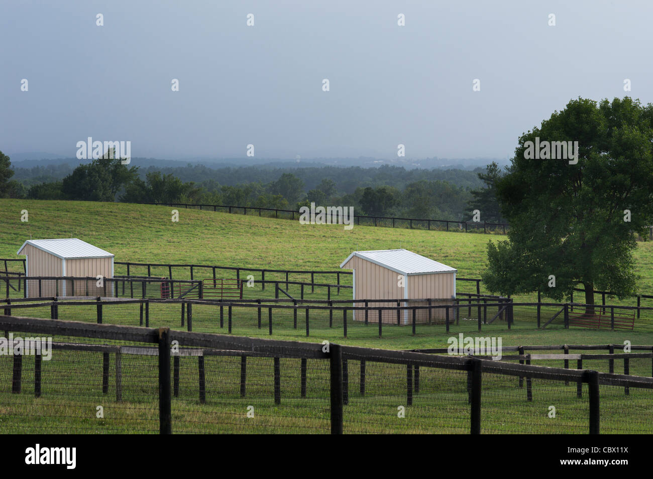 LANDSCAPE HORSE FARM GHENT NEW YORK USA Stock Photo Alamy