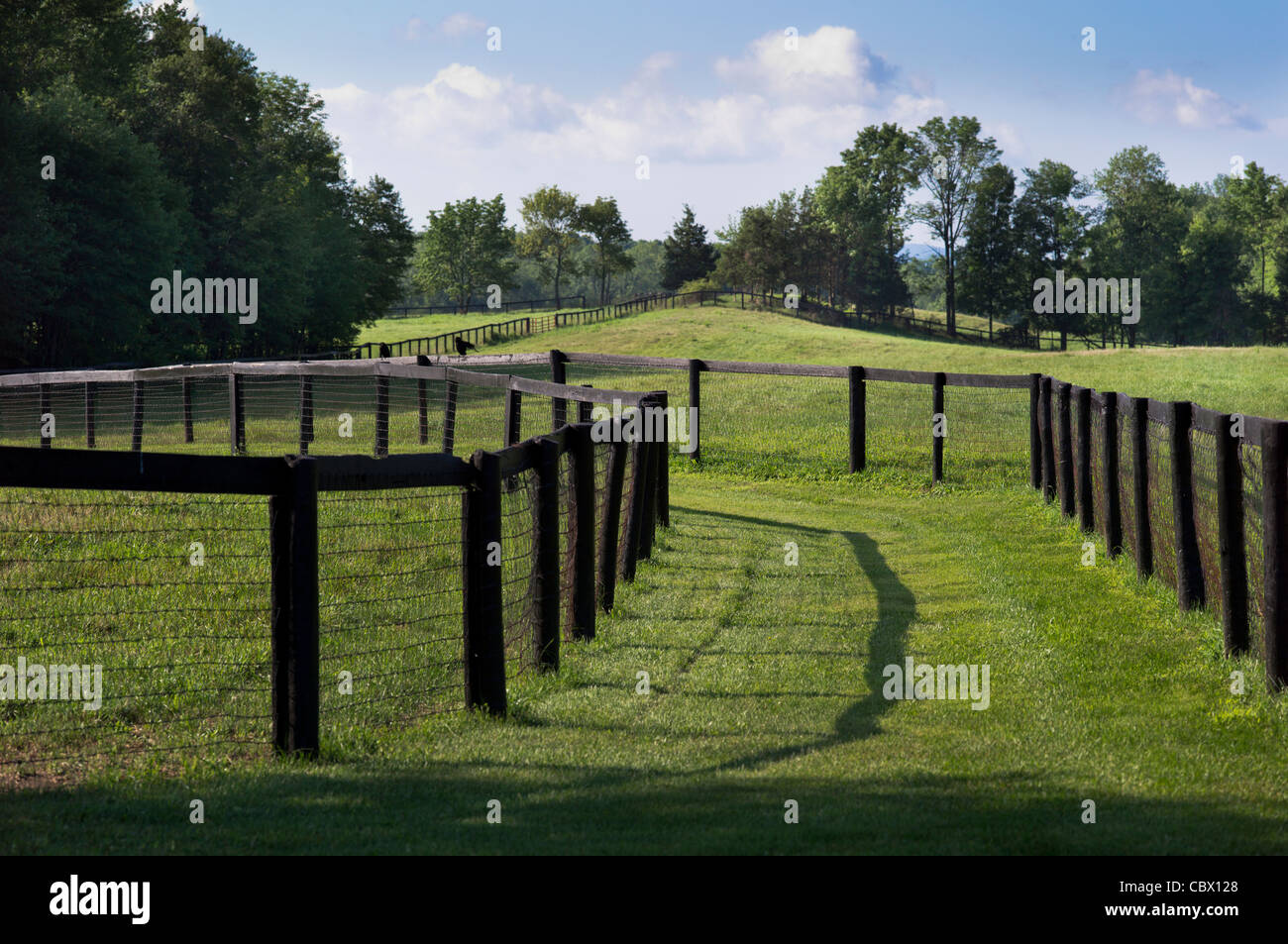 LANDSCAPE HORSE FARM GHENT NEW YORK Stock Photo Alamy