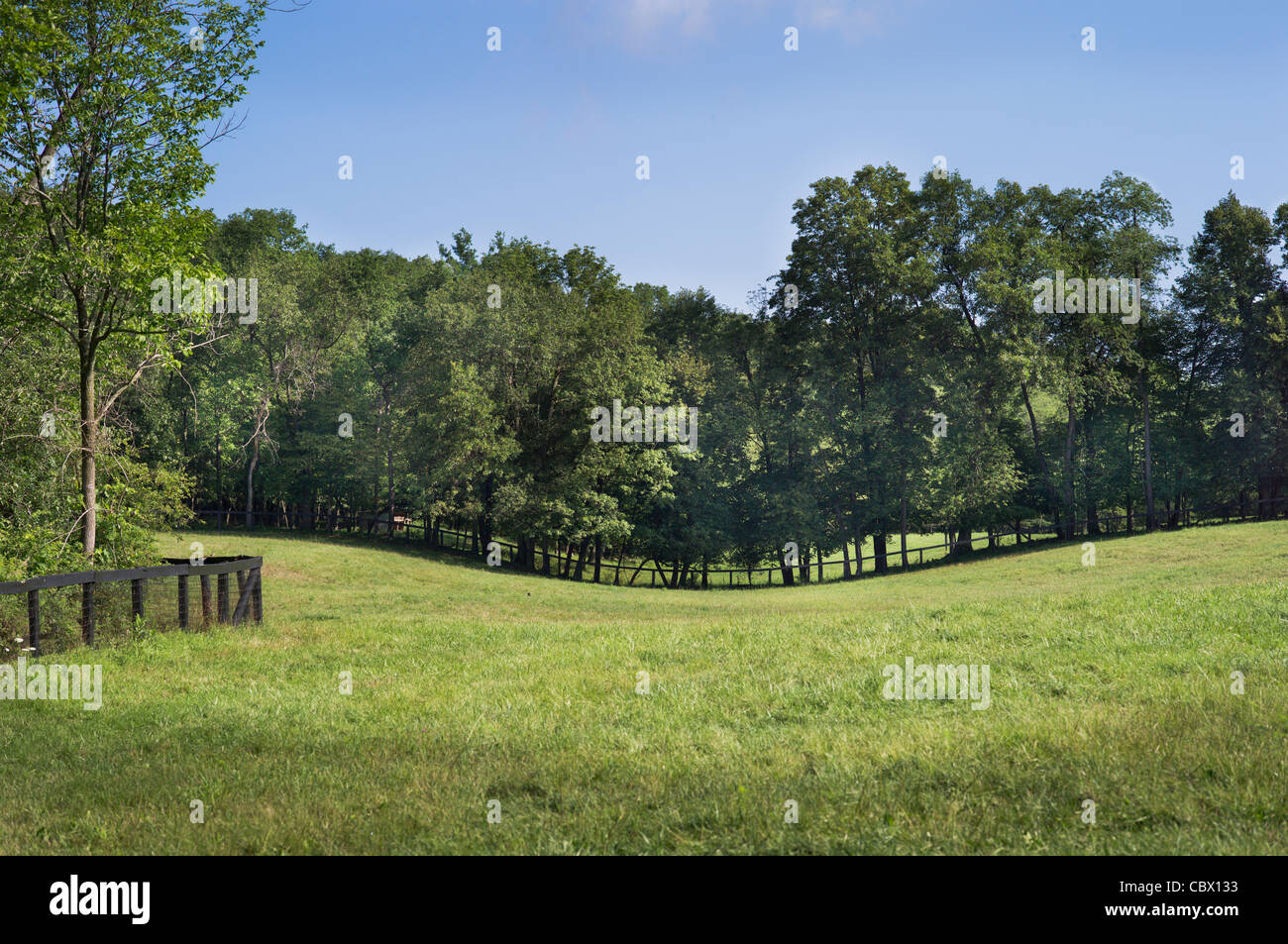 HORSE FARM GHENT NEW YORK Stock Photo Alamy