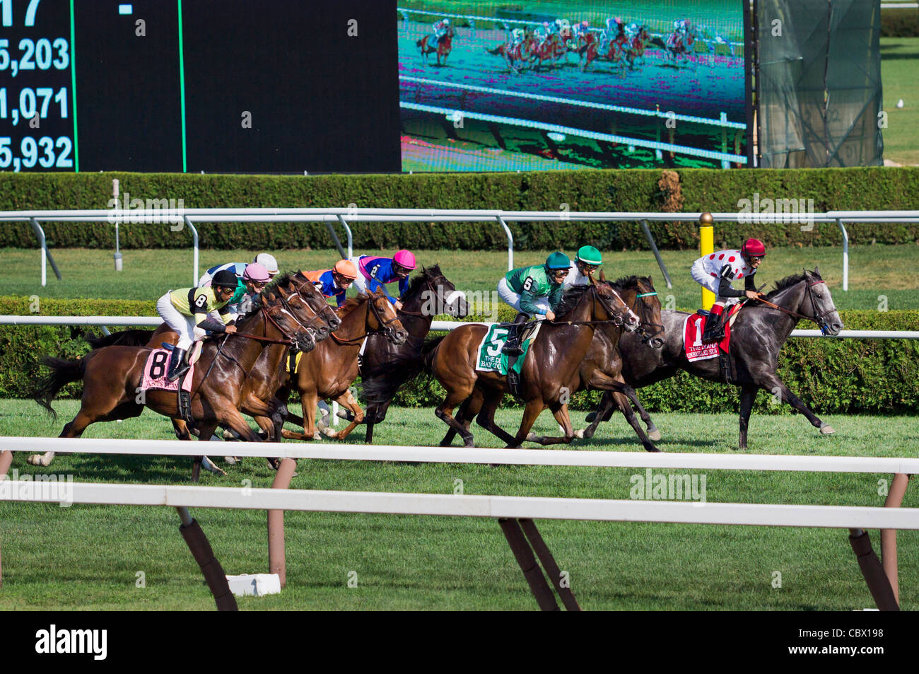 SARATOGA RACE TRACK SARATOGA SPRINGS NEW YORK Stock Photo Alamy