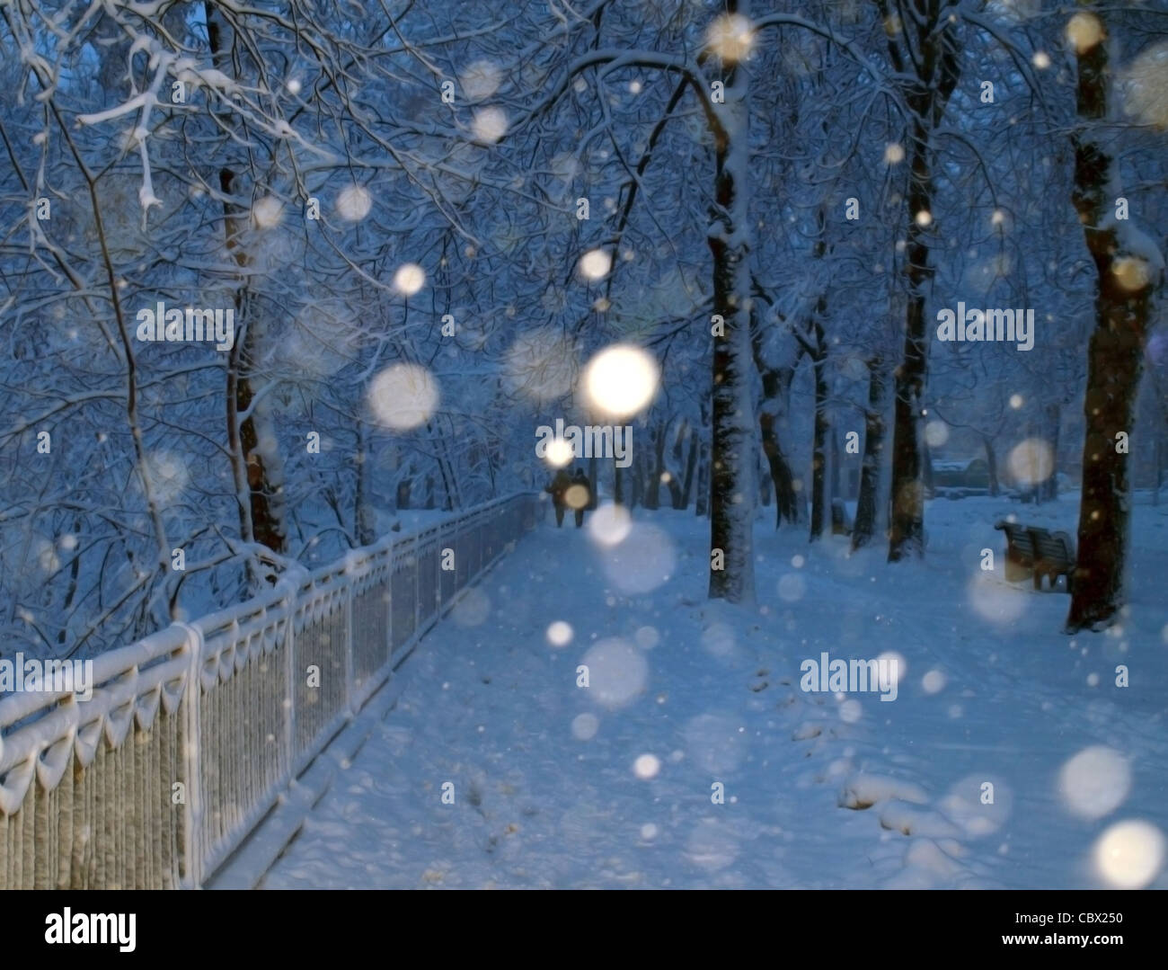 Alley in a park covered with snow and couple in walking in winter park ...