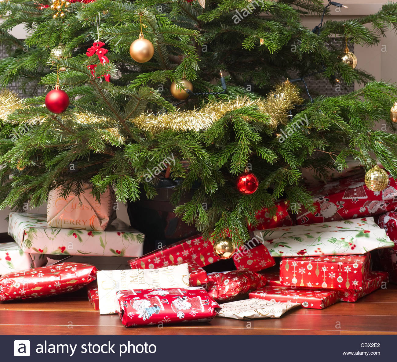 Christmas presents underneath a pine tree in a modern living room ts wrapped in red wrapping