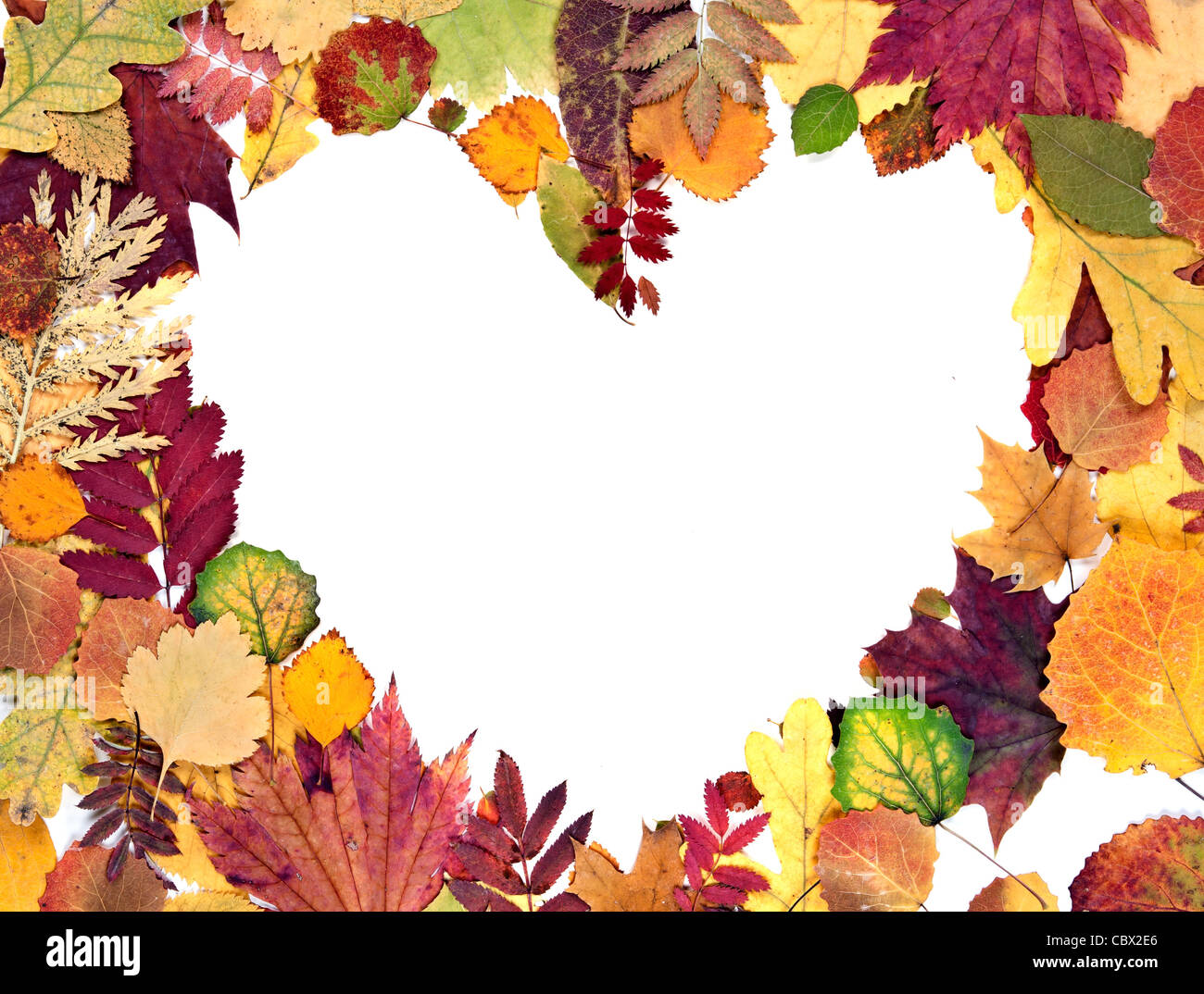 Fall Heart Background form the heart of autumn leaves background Stock Photo - Alamy