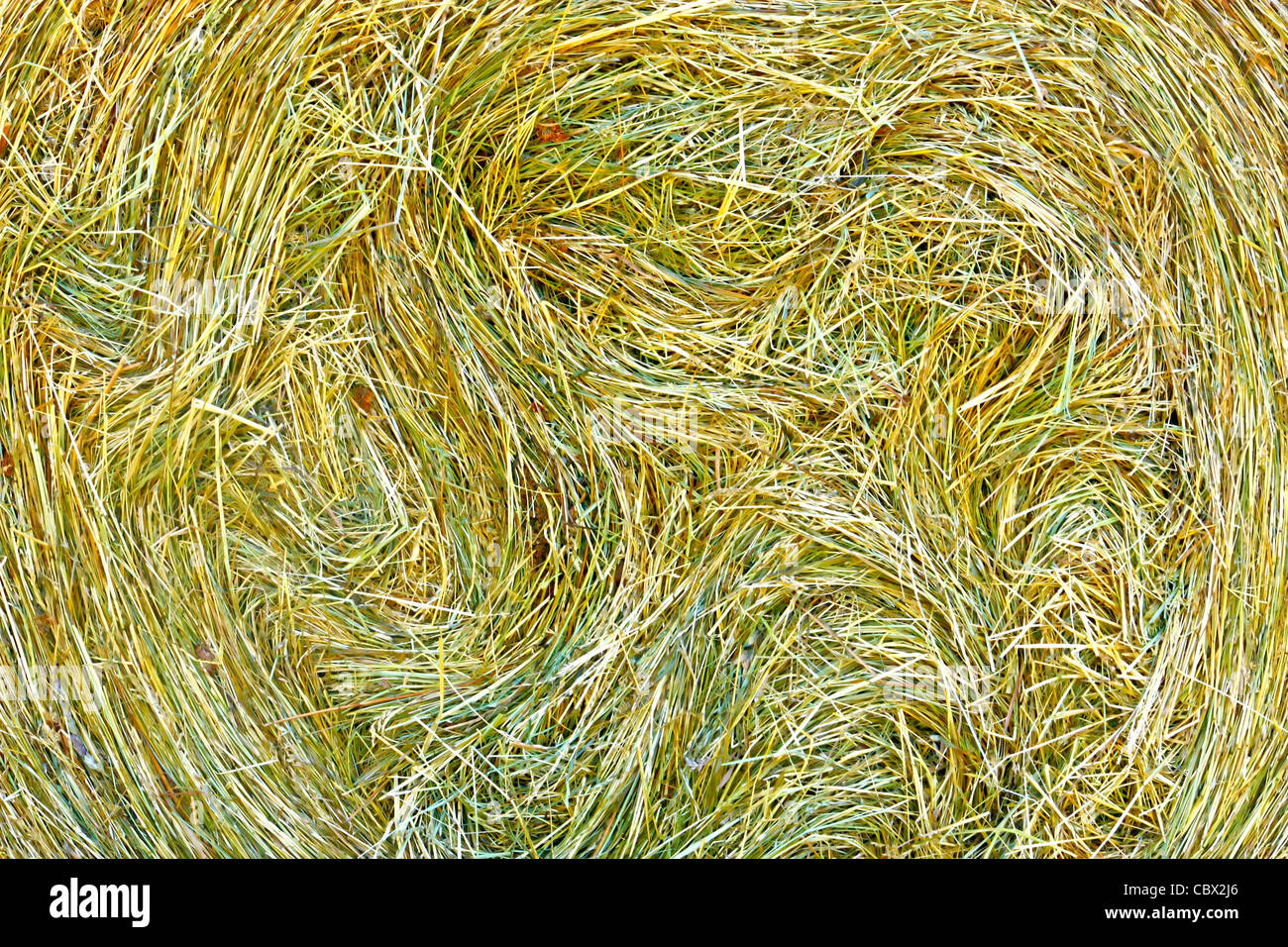 Image showcasing Close up from straw bale hi-res stock photography and images - Alamy