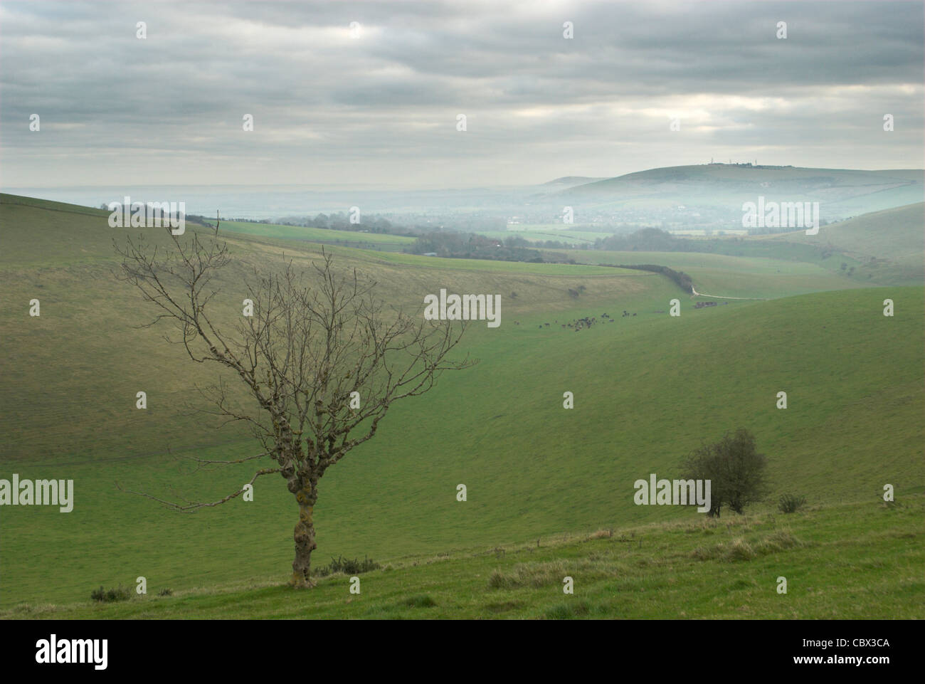 A view of the South Downs from the picturesque Steyning Bowl in West Sussex. Stock Photo