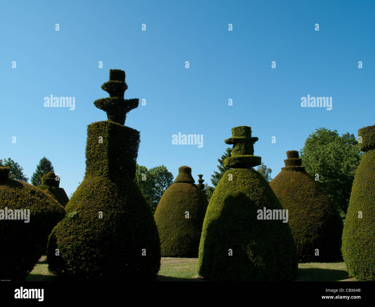 Yew Tree Topiary Stock Photo - Alamy