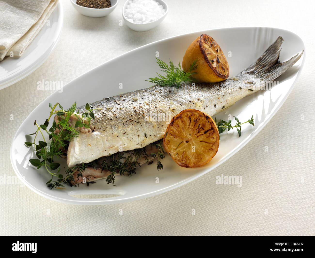 Sea bass Stock Photo