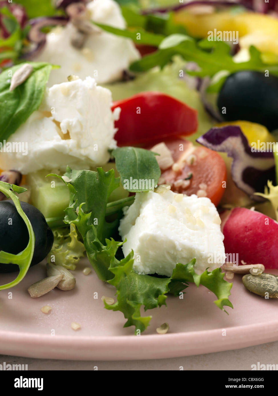 Feta cheese salad Stock Photo