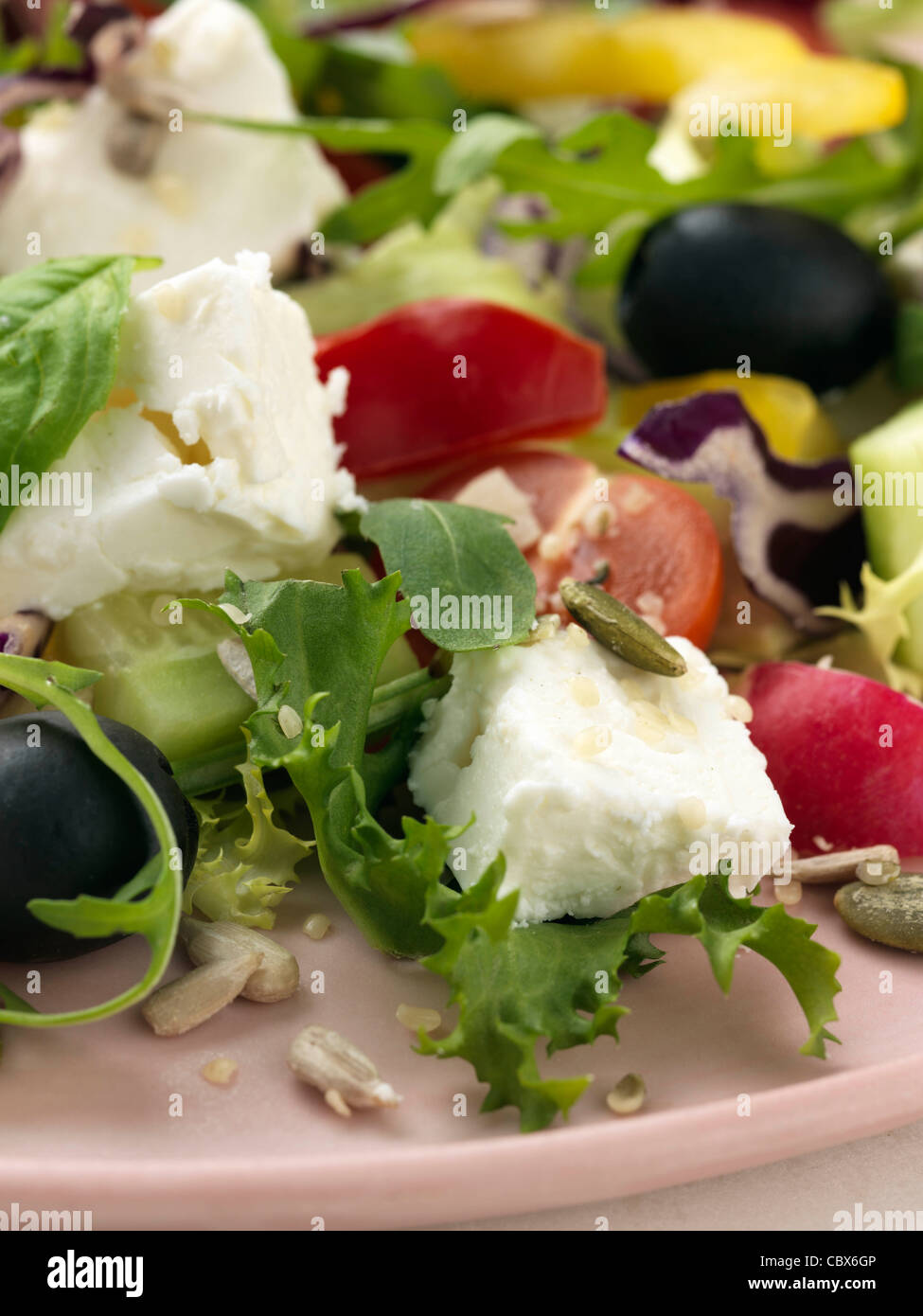 Feta cheese salad Stock Photo