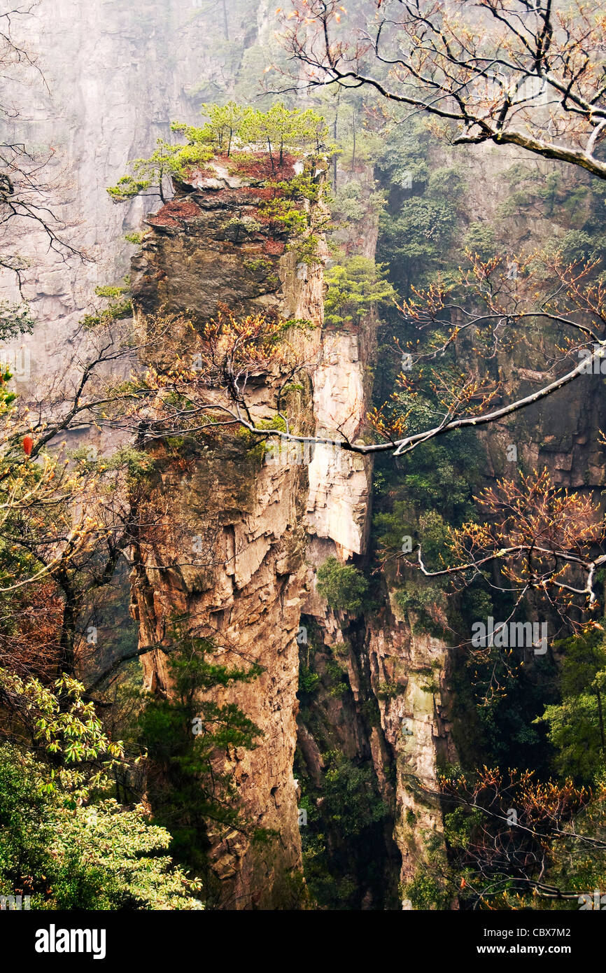 Zhangjiajie National Forest Park, Hunan Province (China). Stock Photo