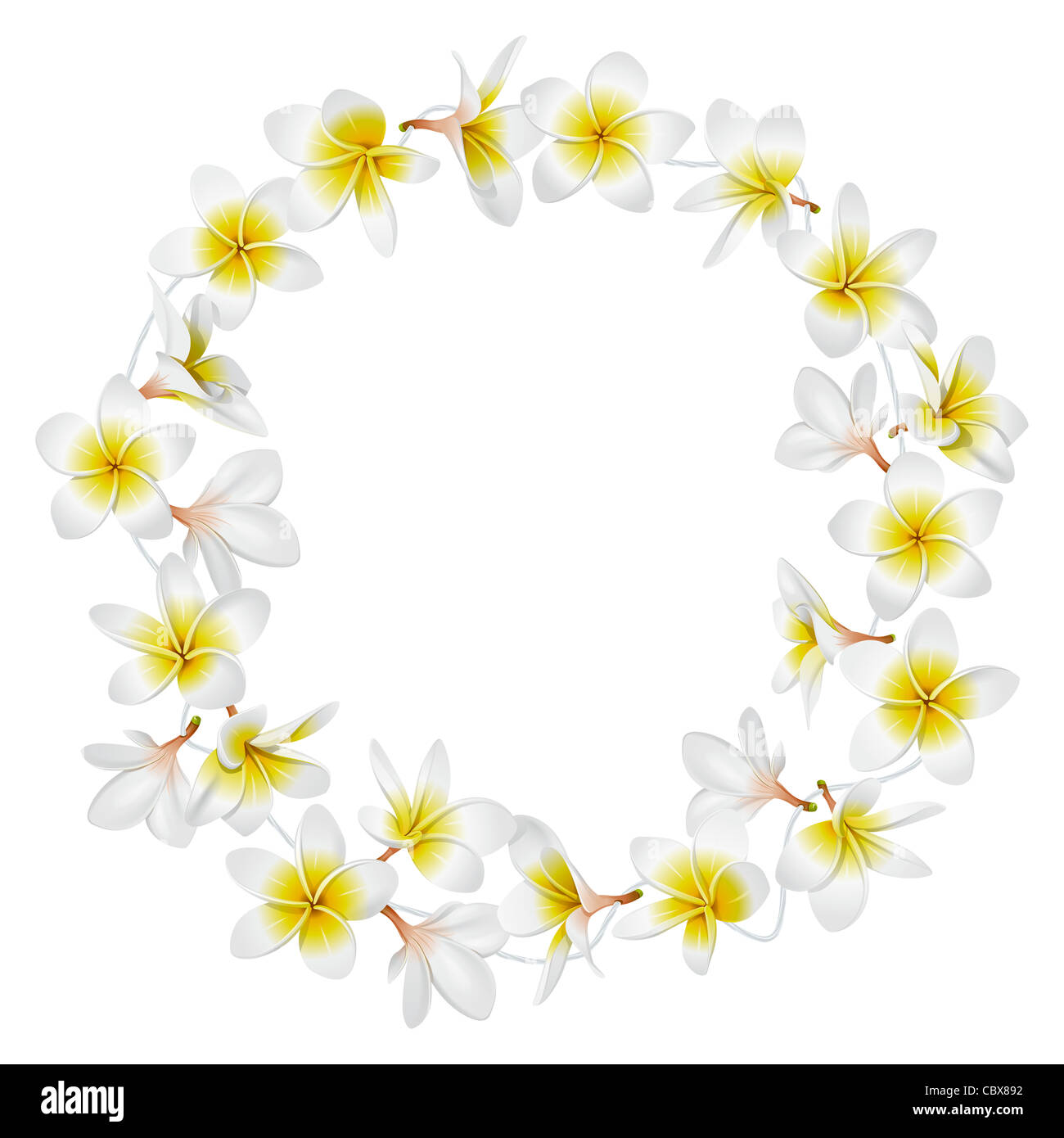 Tropical necklace lei flowers Stock Photo