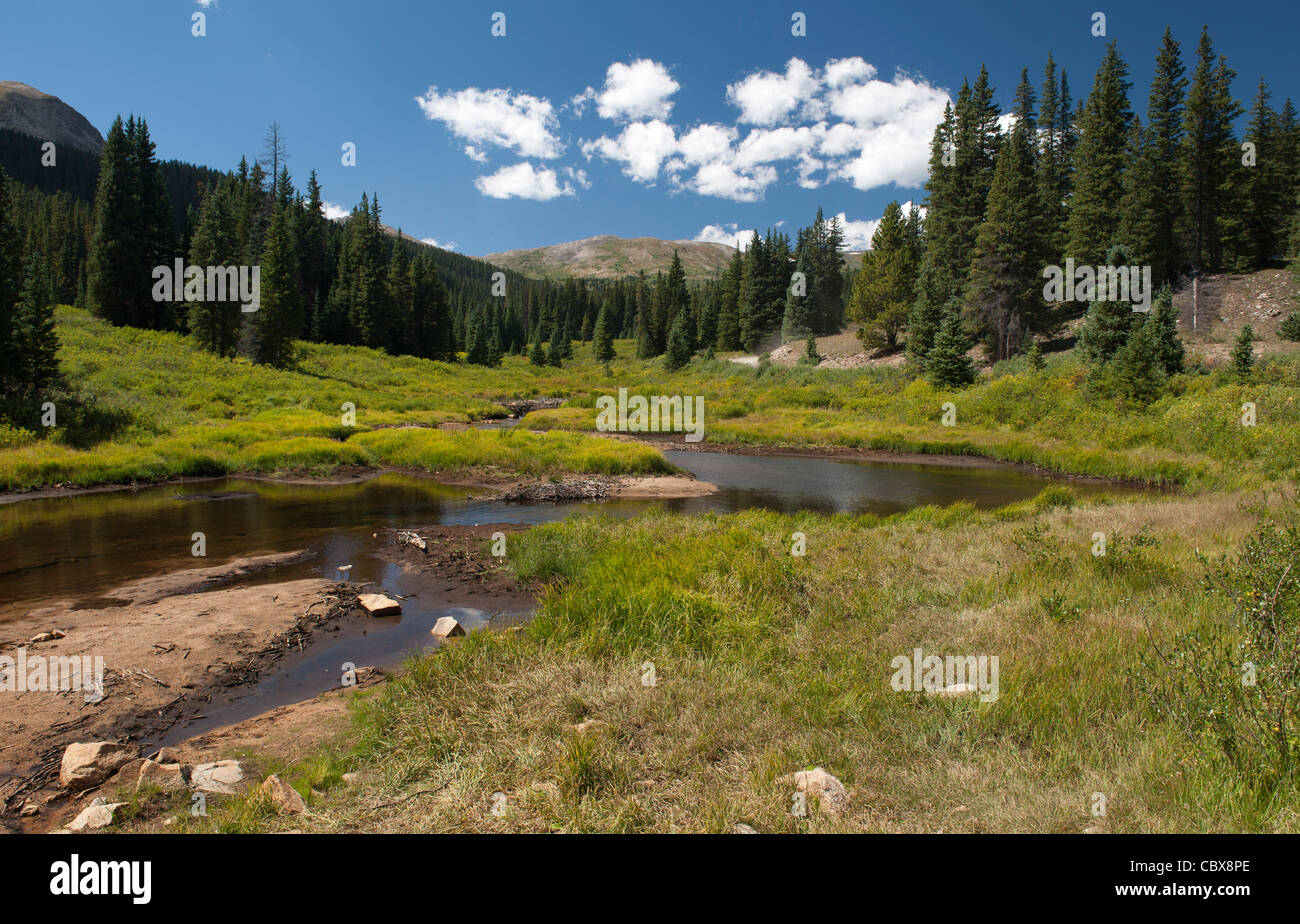 Chalk Creek along the four-wheel-drive Tincup Pass road, Chaffee County, Colorado Stock Photo