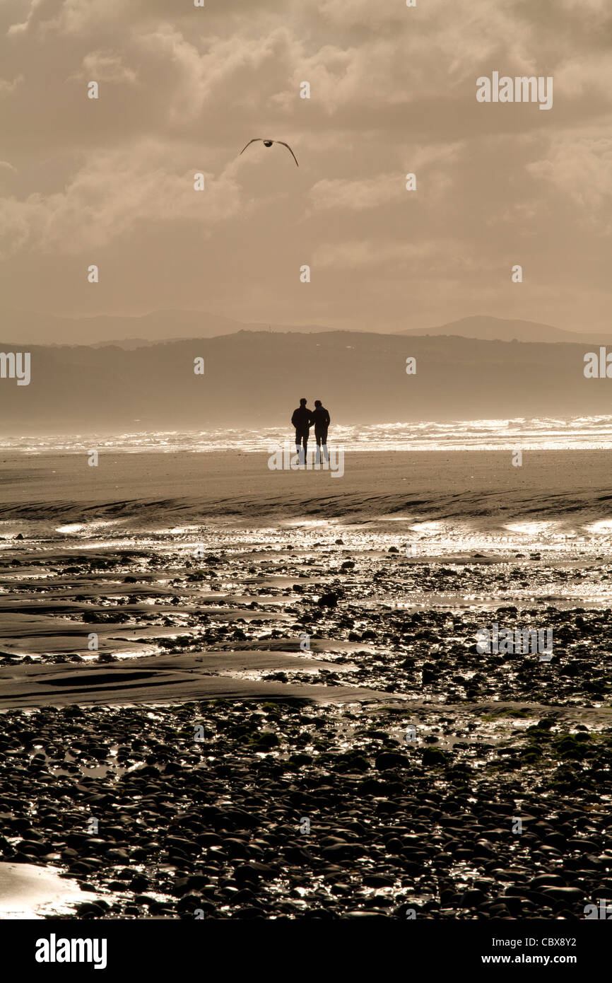 Couple walking on calm beach at sunset Stock Photo - Alamy
