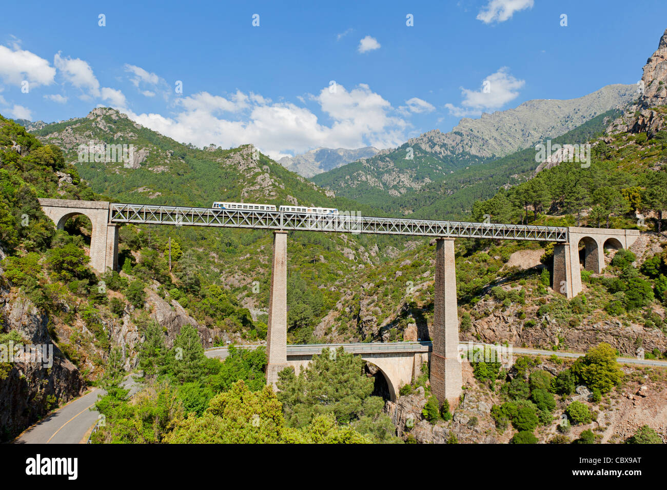 Train driving on large bridge and viaduct Stock Photo