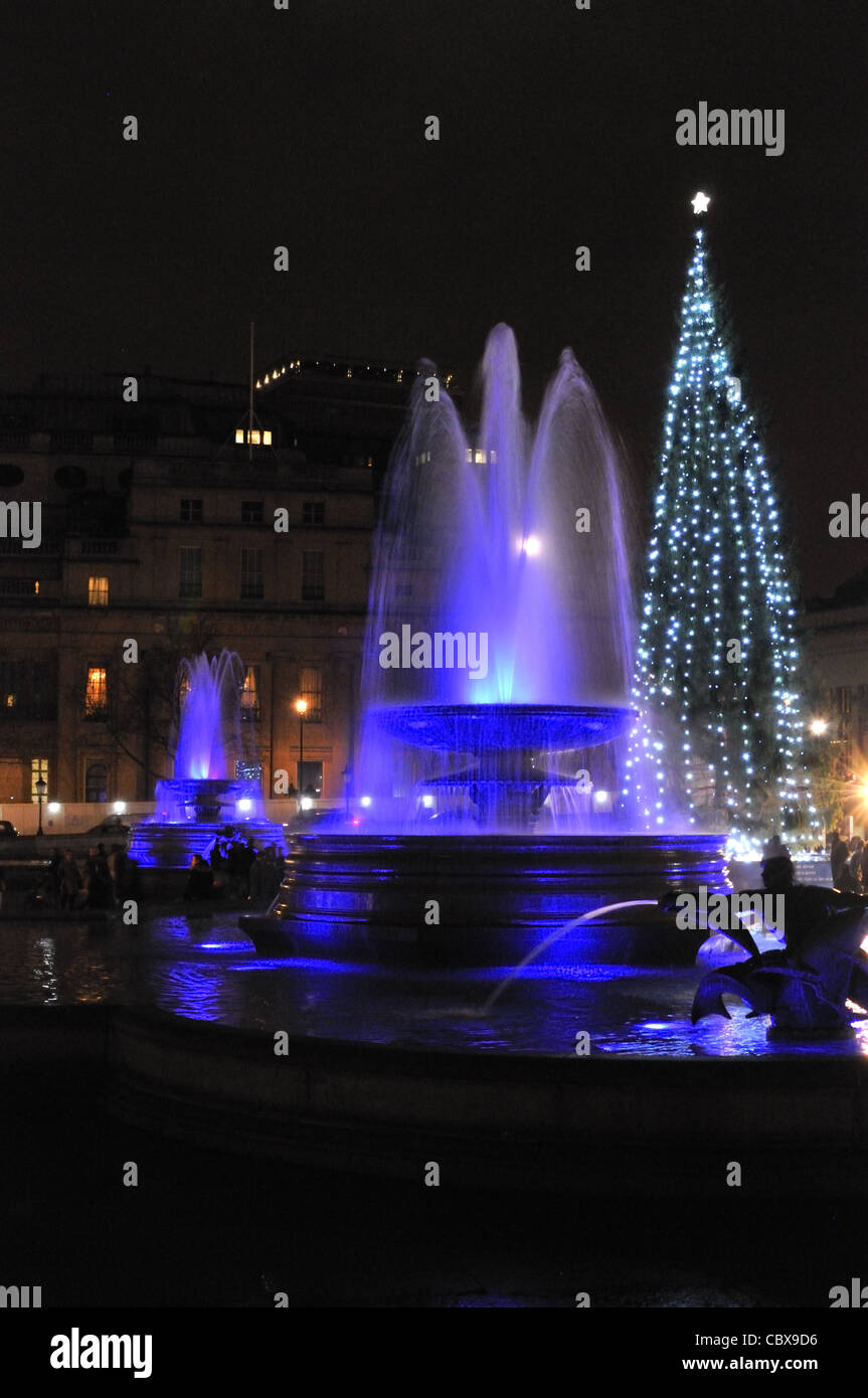 Trafalgar Square fountains and Christmas tree 2011, London. Stock Photo