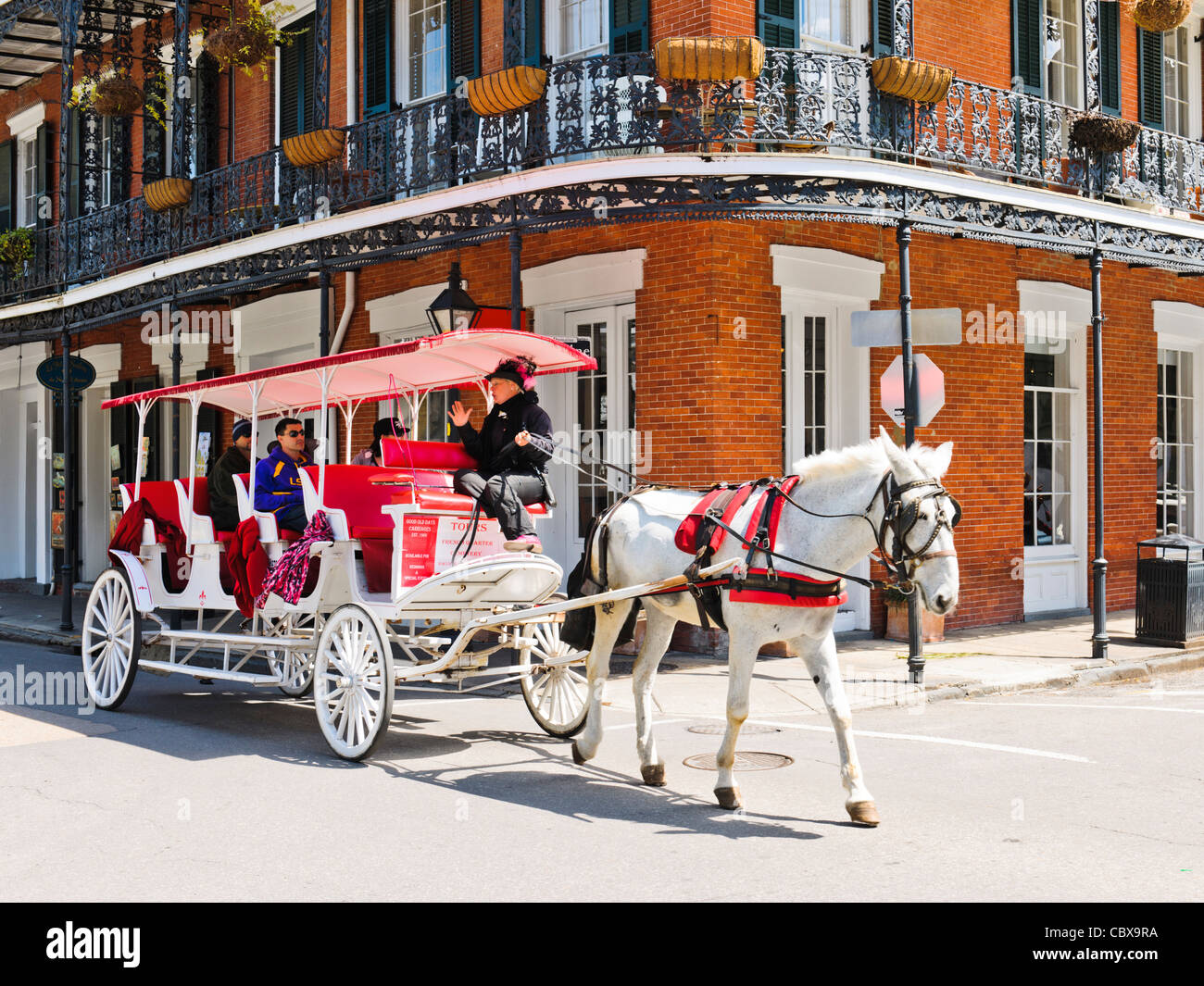 Horse carriage tours, New Orleans Stock Photo - Alamy
