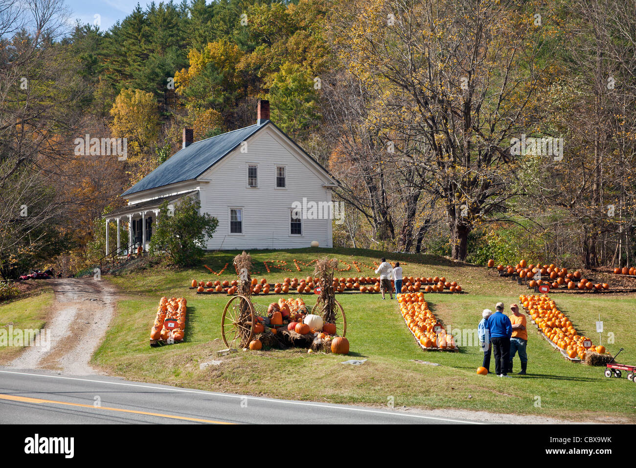 Farmhouse and pumpkin farm on Hwy 100 near Woodstock, Vermont USA/   © Myrleen Pearson Stock Photo
