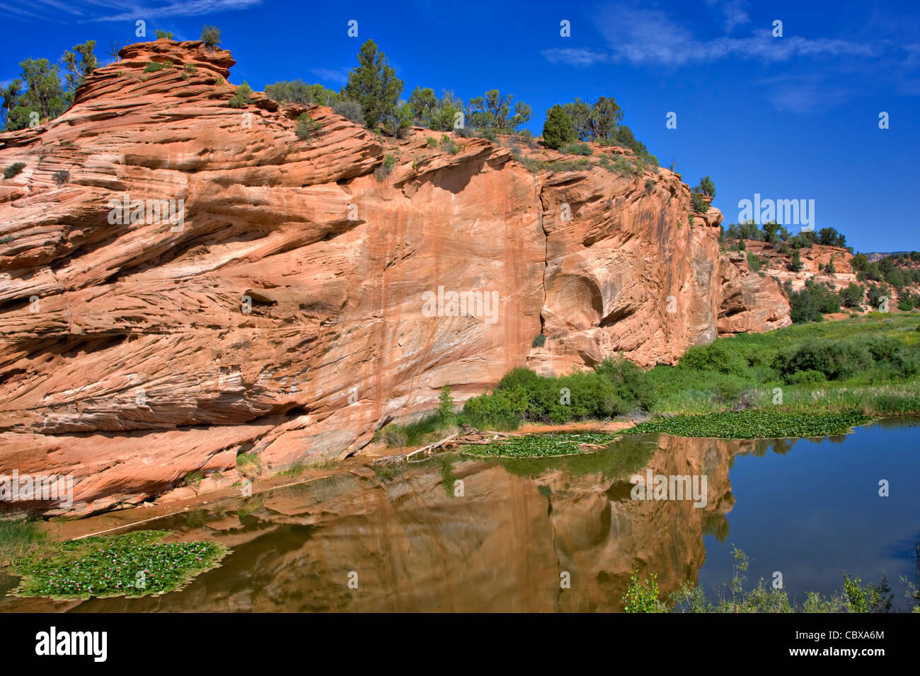 A red sandstone rock formation is reflected in the still waters of a pond on the Kaibab Plateau, Grand Canyon National Park Stock Photo