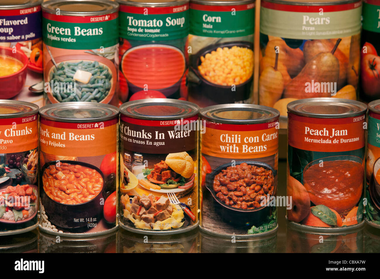 Food, fruit, vegetable and meat canned for charity and welfare