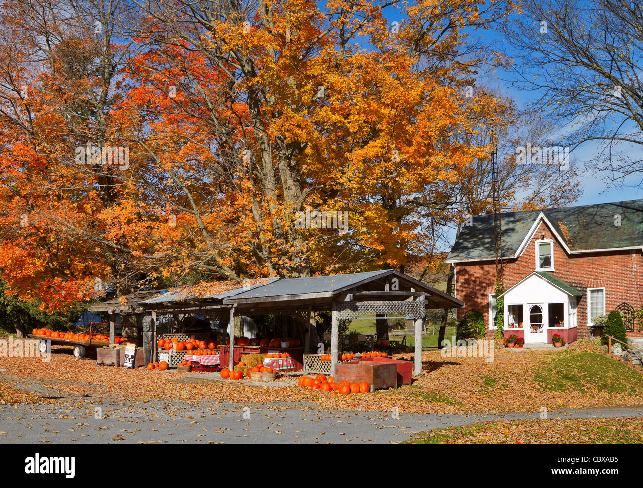 Roadside stand selling pumpkins and firewood, and typical historic brick house in rural Southern Ontario, Canada. Stock Photo