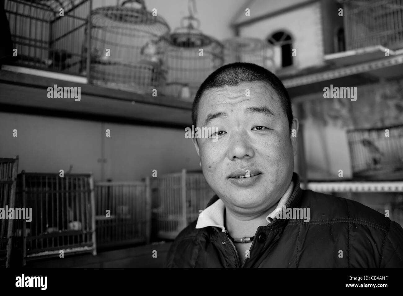 Beijing, Gaobeidian. Portrait of Mr. Yang, owner of a bird shop. Stock Photo