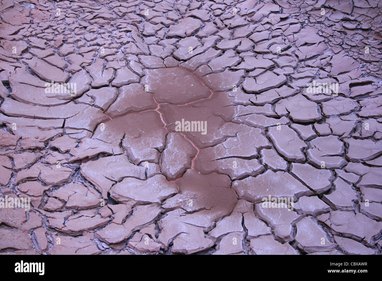 mud cracks form as a water hole dries up Stock Photo