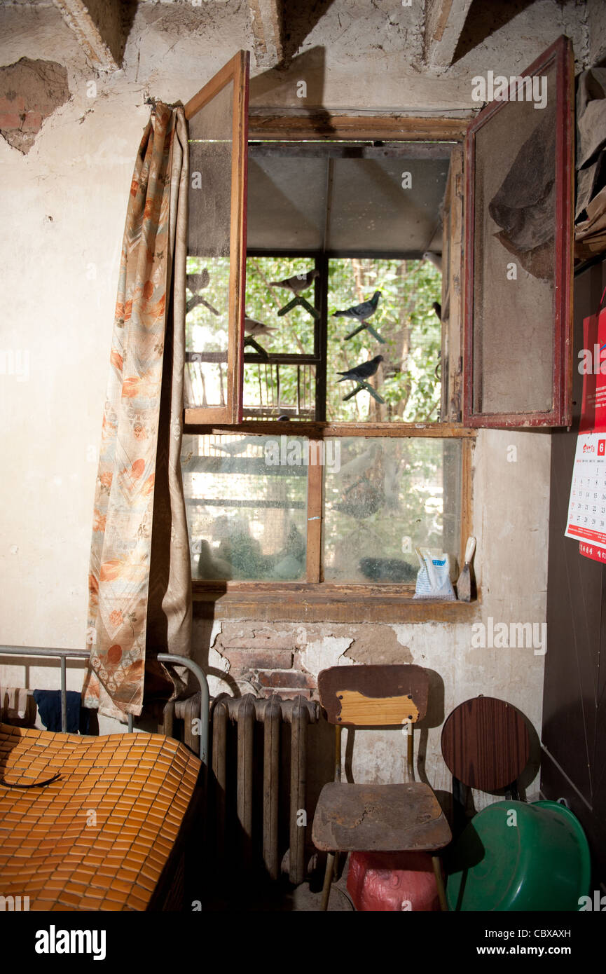 Beijing, Lidu. The room of Mr. Guo Jia is at the same time the entrance to the pigeonry of his landlord. Stock Photo