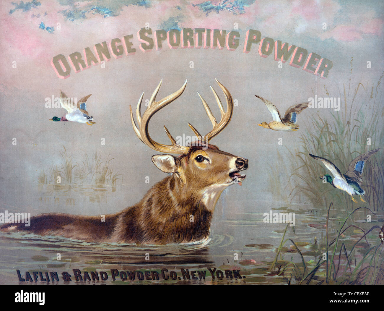Orange sporting powder. Laflin & Rand Powder Company, New York. c1873 Stock Photo