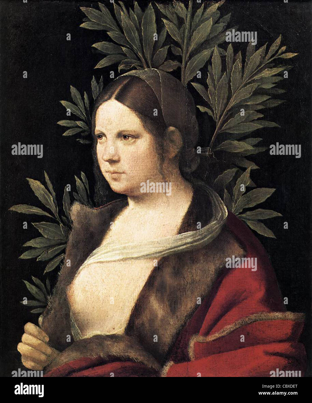 Giogone Portrait of a Young Woman (Laura) 1506 Kunsthistorisches Museum - Vienna Stock Photo