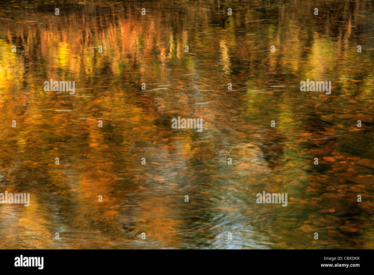 Abstract of beautiful autumn color reflected in the River Skirfare in Arncliffe, Littondale, Yorkshire, England Stock Photo