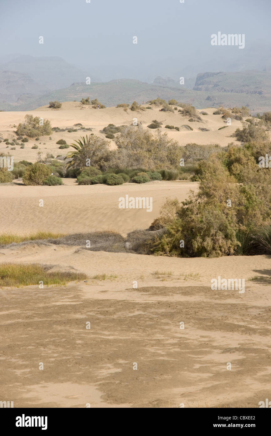 Sahara calm scene hi-res stock photography and images - Alamy
