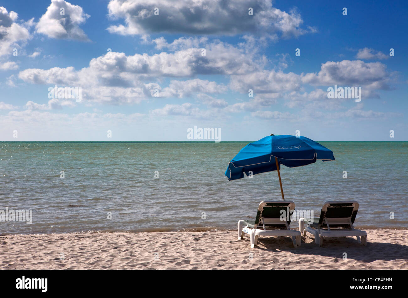 Ocean front beach chairs, Key West, Florida, USA Stock Photo Alamy
