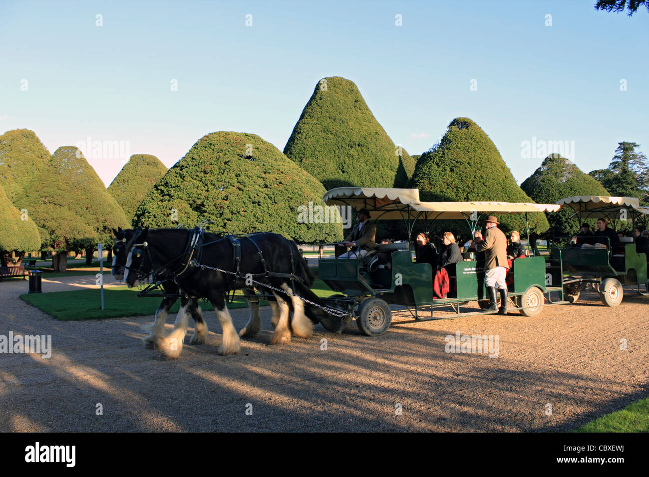 Hampton Court Palace, Molesey Surrey England UK Stock Photo - Alamy