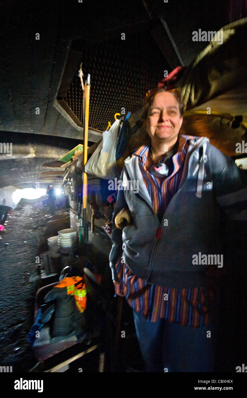 Homeless military veterans live under a Southern California bridge in jerry-built shelters. Stock Photo