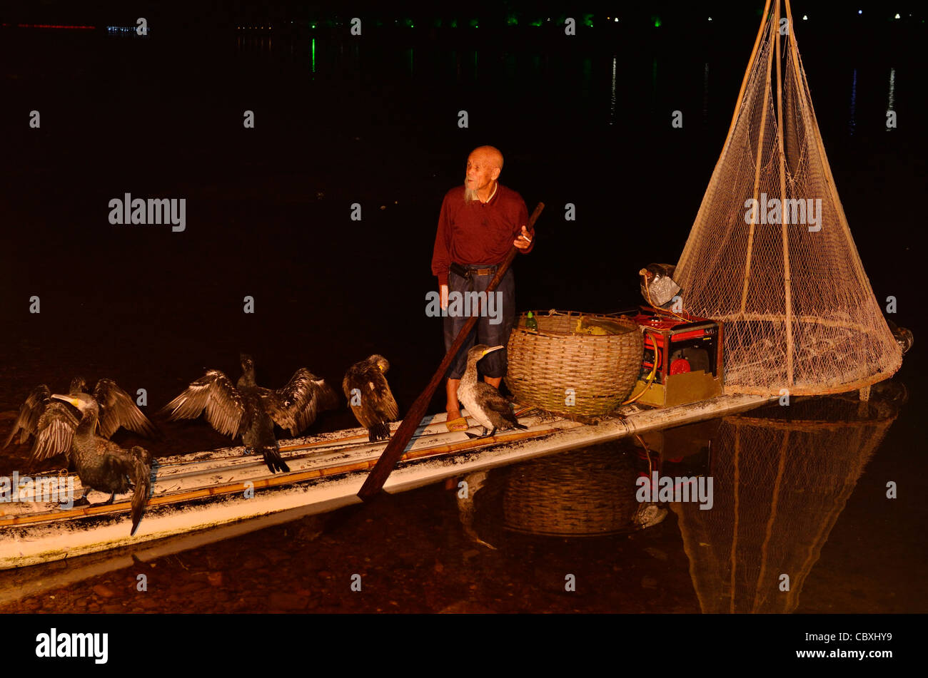 Chinese fisherman with cormorant birds and net on a bamboo raft in ...