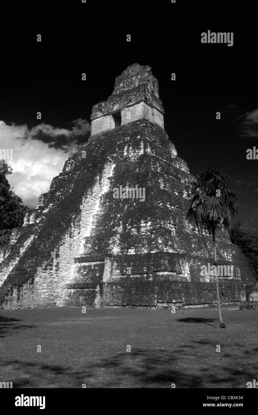 Temple I or Temple of the Great Jaguar at the Mayan ruins of Tikal, Guatemala Stock Photo