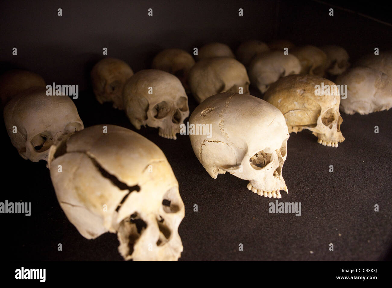 Skulls of victims of Rwanda's 1994 genocide lie in the Kigali Genocide Memorial Center. Stock Photo