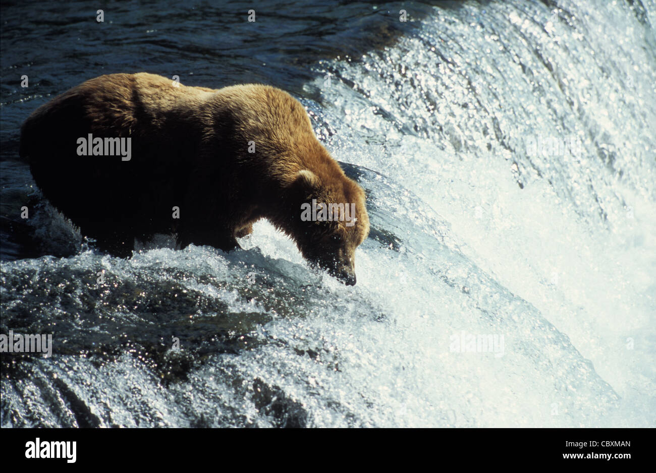 Bear river idaho hires stock photography and images Alamy