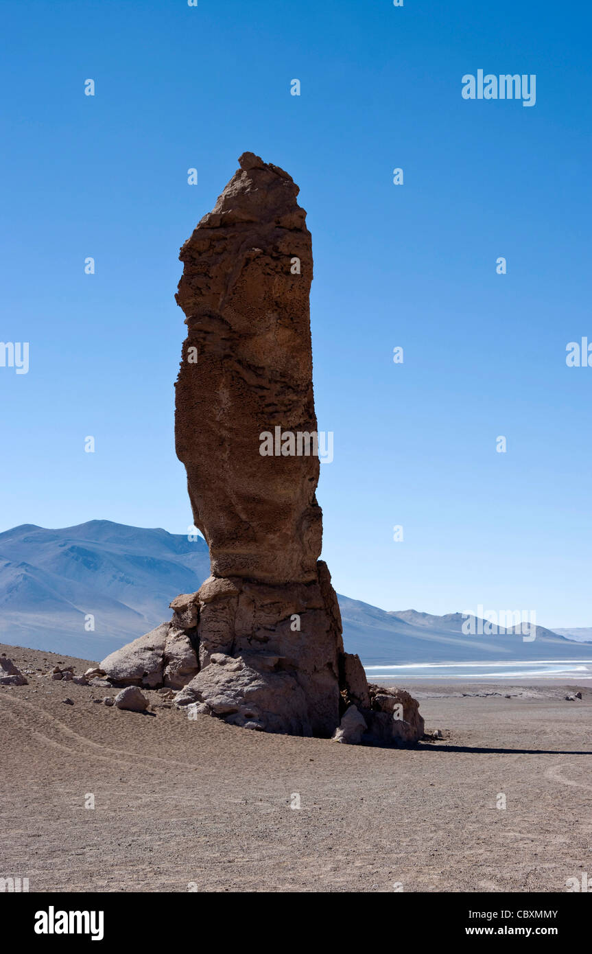 Chile. Atacama desert. Flamingos national reserve. The Monjes de Pacana ...