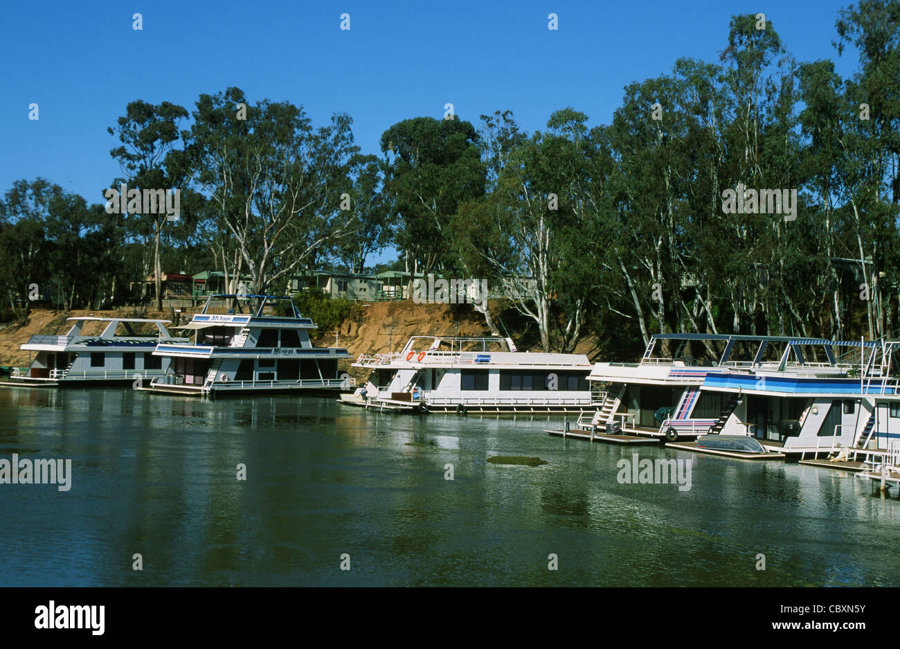Houseboats moored at the banks of the Murray river near Echuca