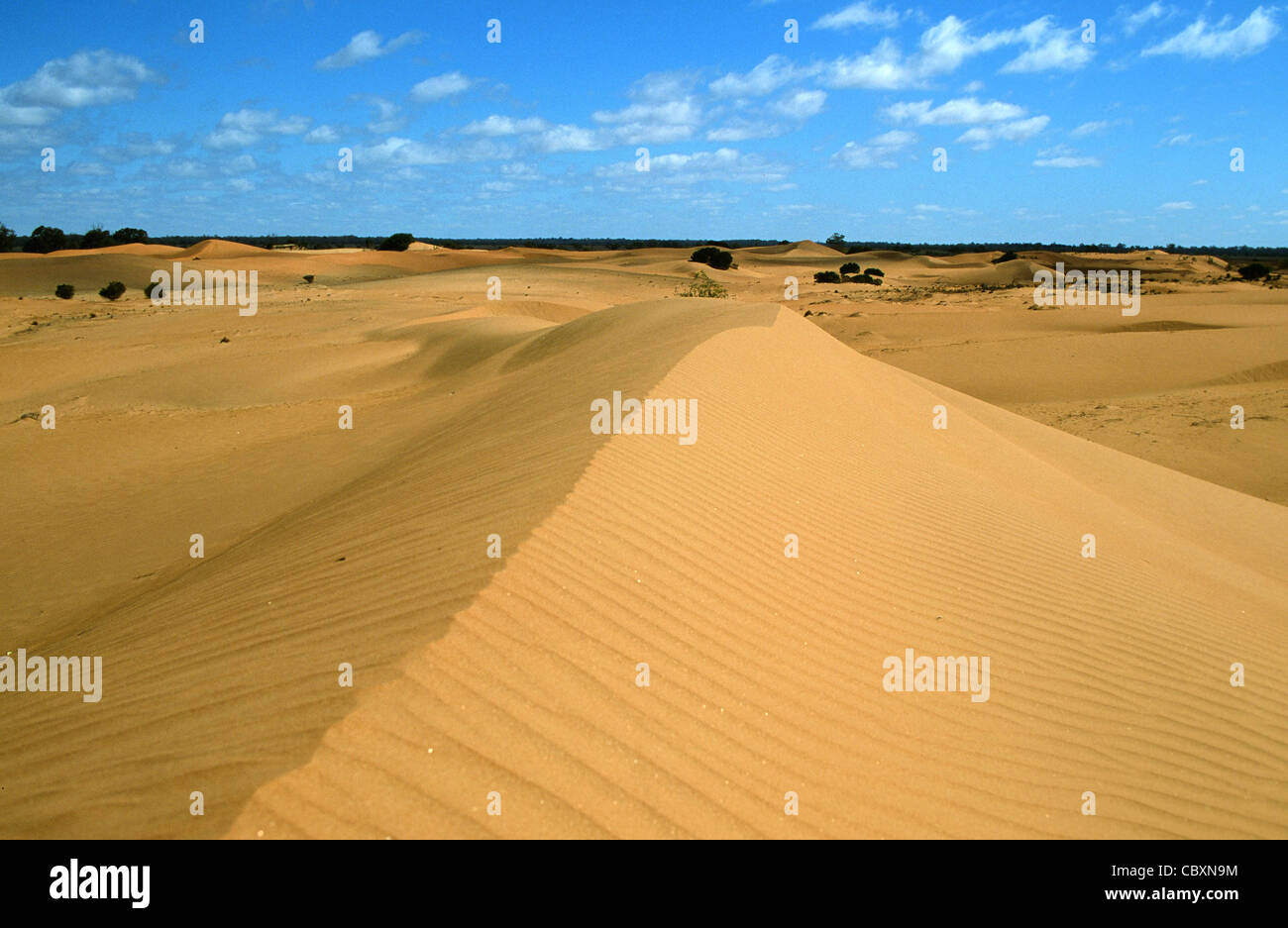 Perry sandhills near Wentworth in the Outback of New South Wales, Australia Stock Photo