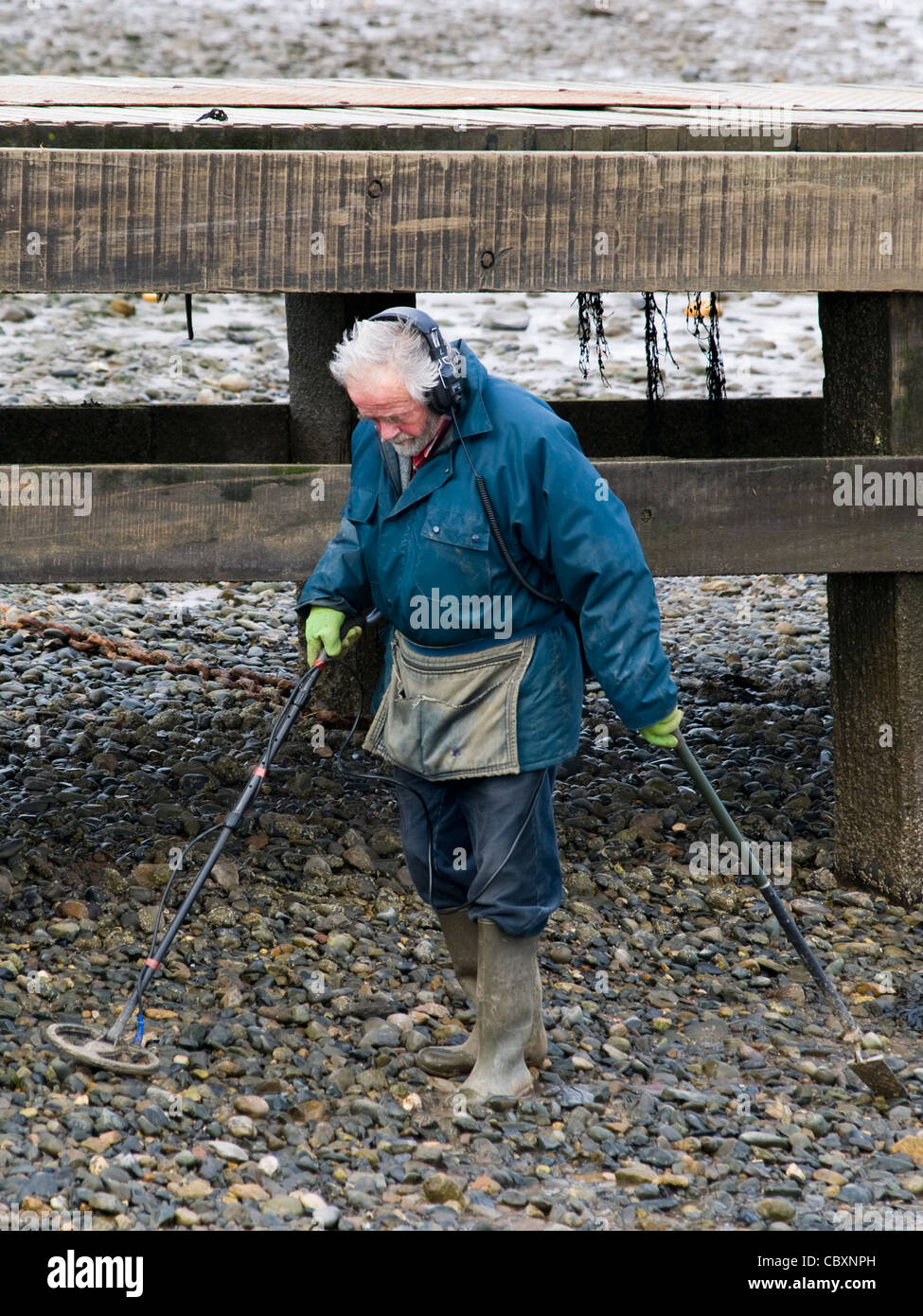 Metal Detecting, Conwy Harbour Stock Photo Alamy